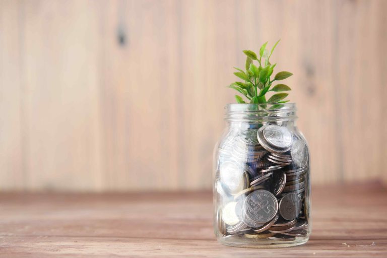 Seed Money vs. Venture Capital: Which Is Right for Your Startup?